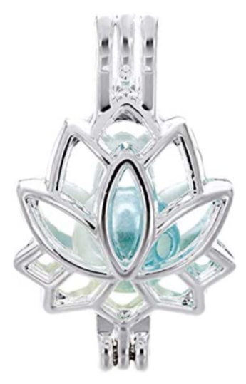 Lotus Flowwer